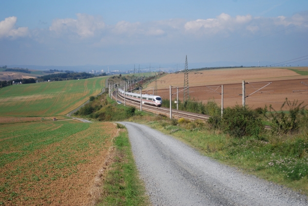 Building a High-Speed Line, Not a Pleasure Cruise: Experience from Germany